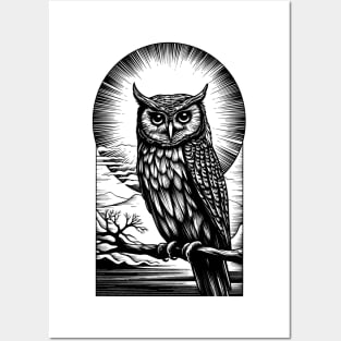 owl Posters and Art
